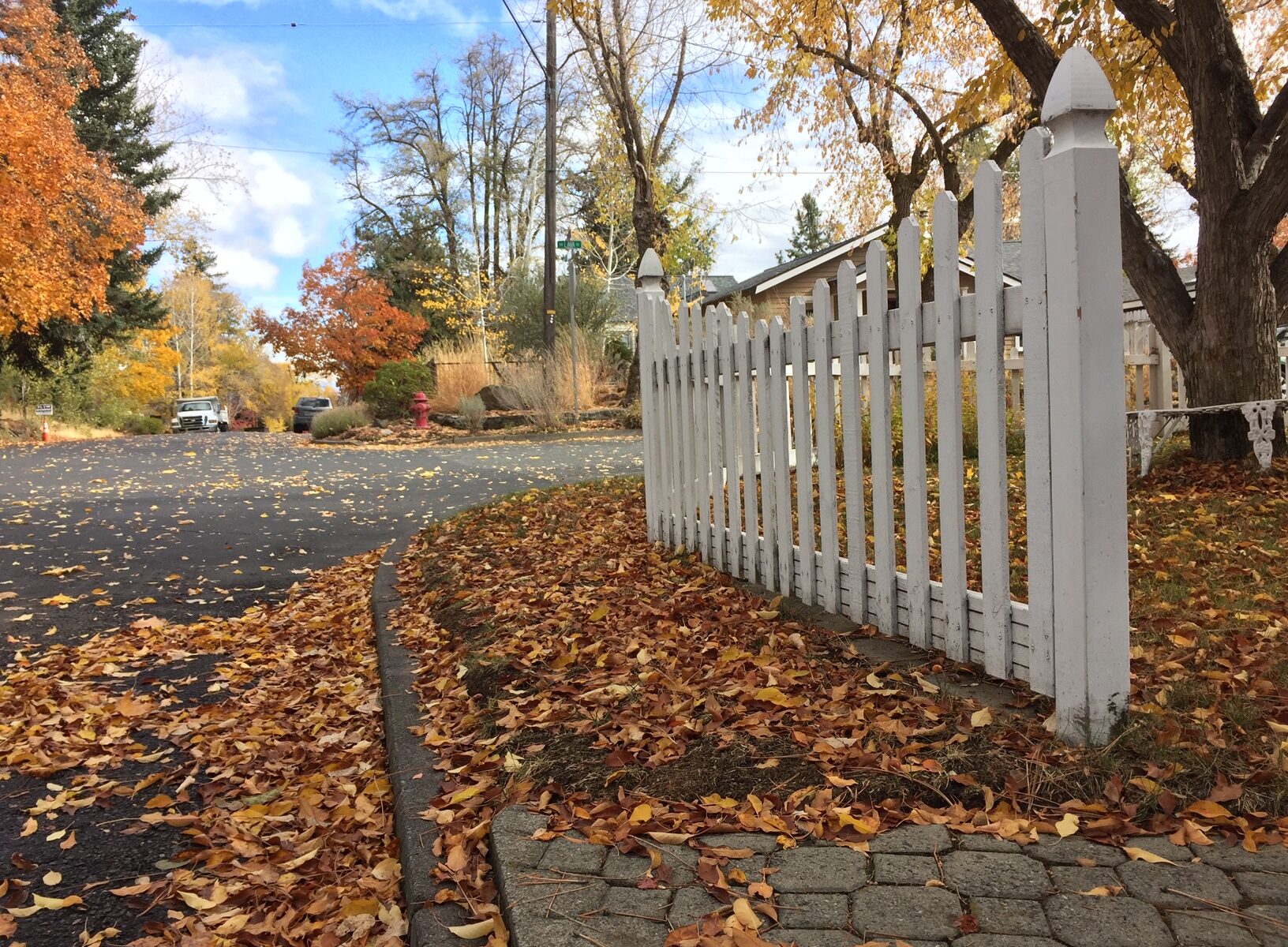 White fence fall leaves